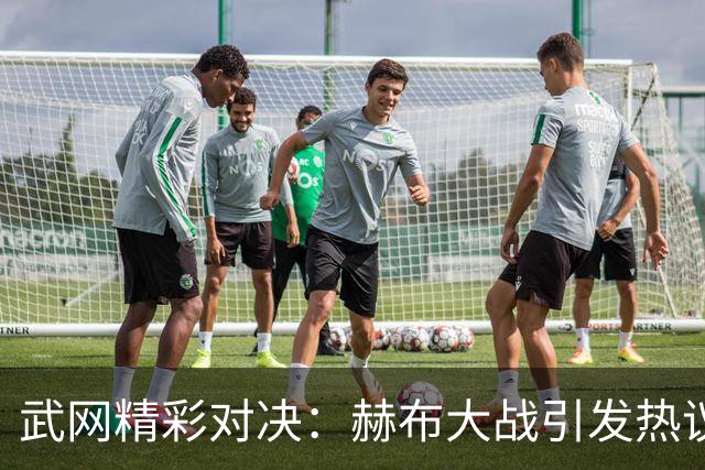 武网精彩对决：赫布大战引发热议，伊埃拉遭遇双线失利